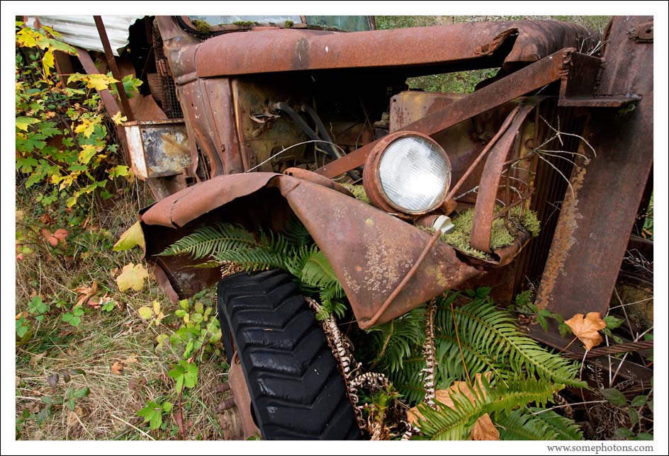 Truck and overgrowth, Washington