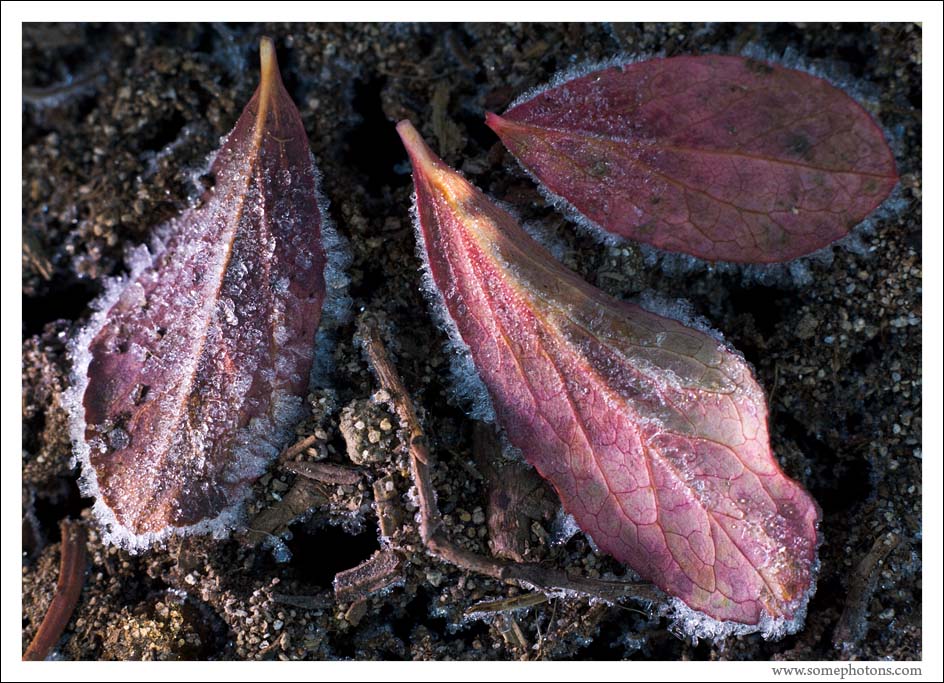 Almost winter, Washington