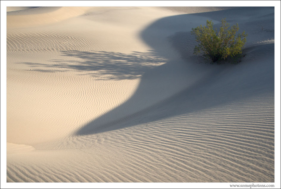 Sand Dunes, Death Valley, California