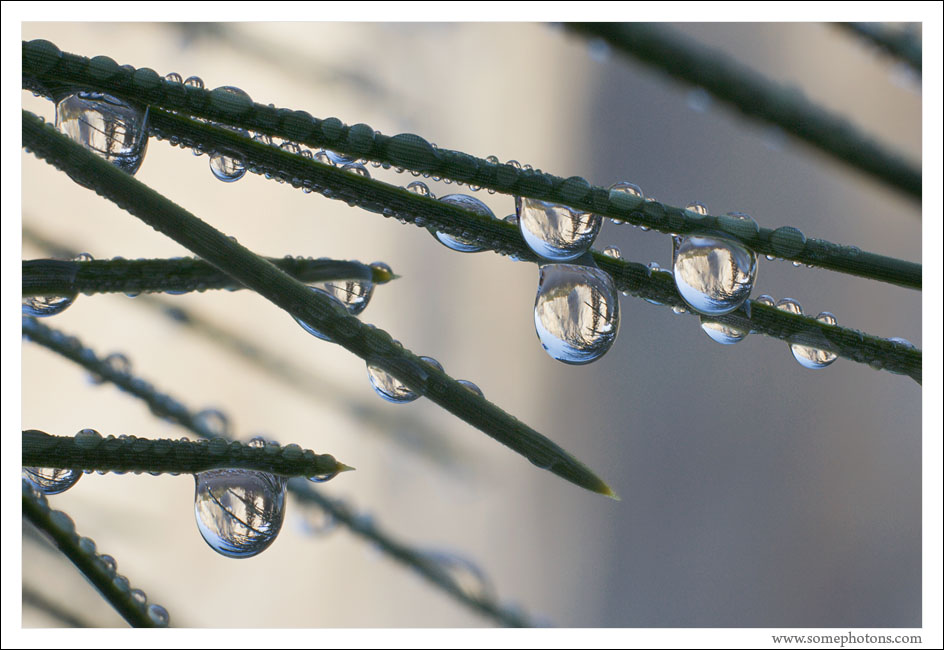 El Capitan in droplets, Yosemite National Park, California