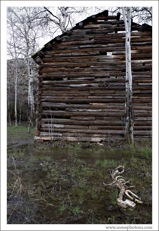 Cabin and Skeleton, Central Washington