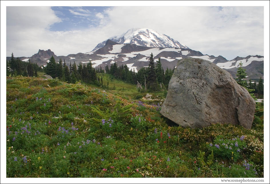 Spray Park, Mt Rainier National Park, Washington
