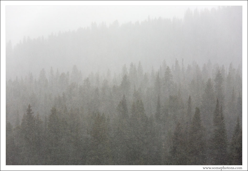 Snowstorm, Yellowstone National Park, Wyoming