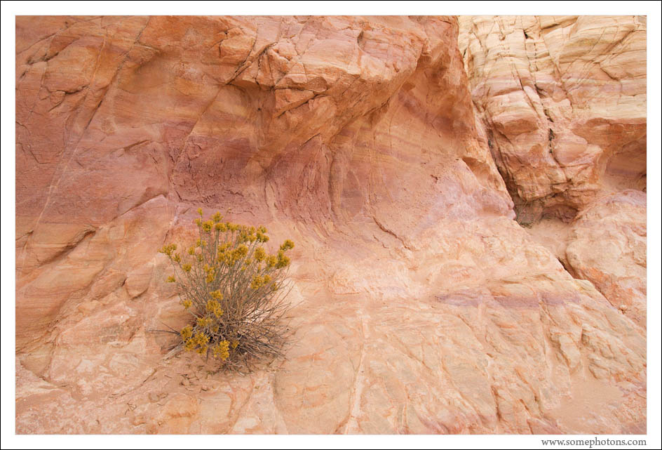 Valley of Fire State Park, Nevada