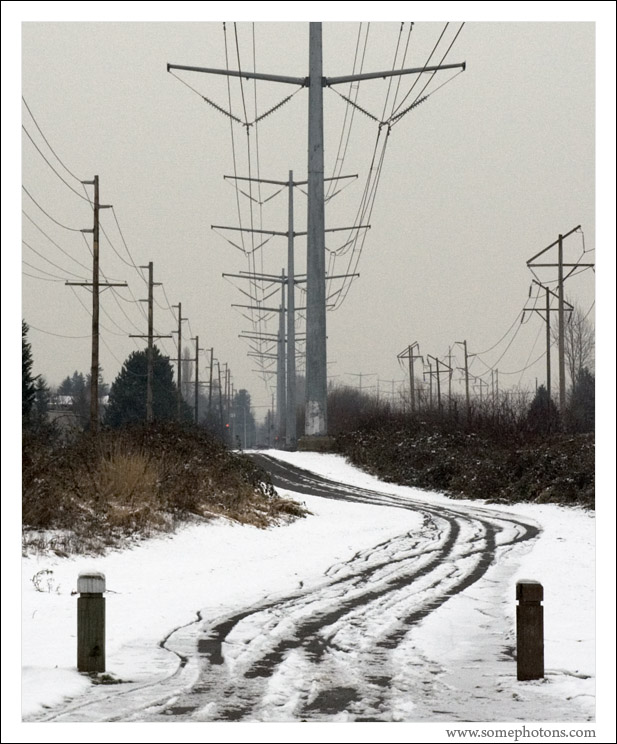 Winter, near Auburn, Washington