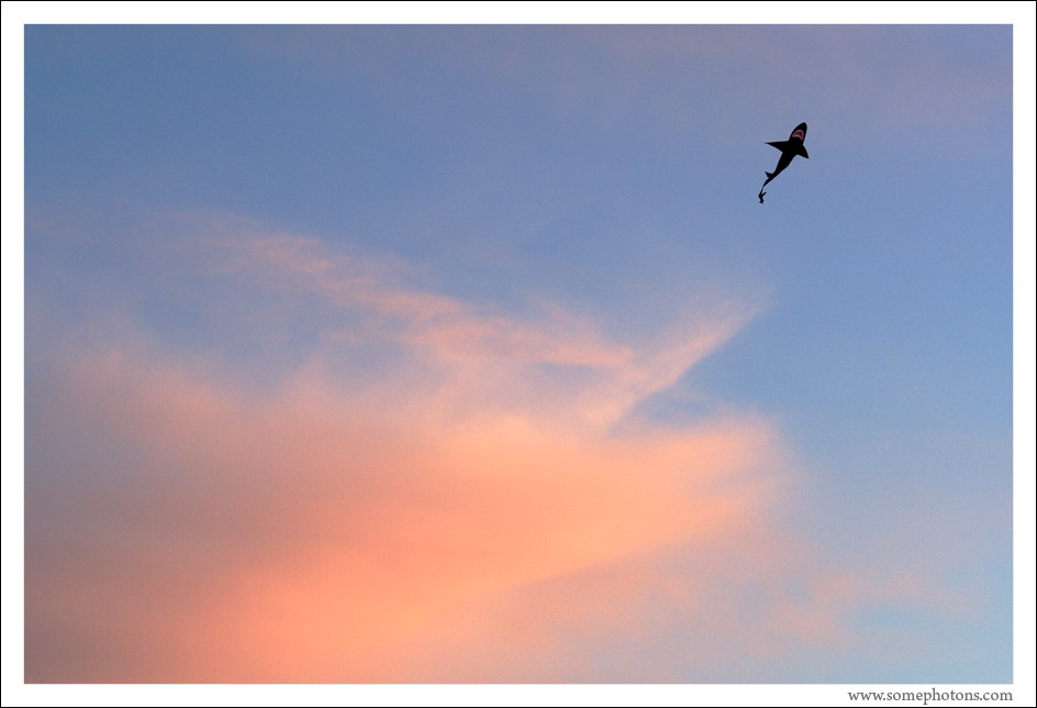 Kite, Seattle, Washington