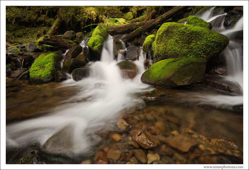 Olympic National Park, Washington