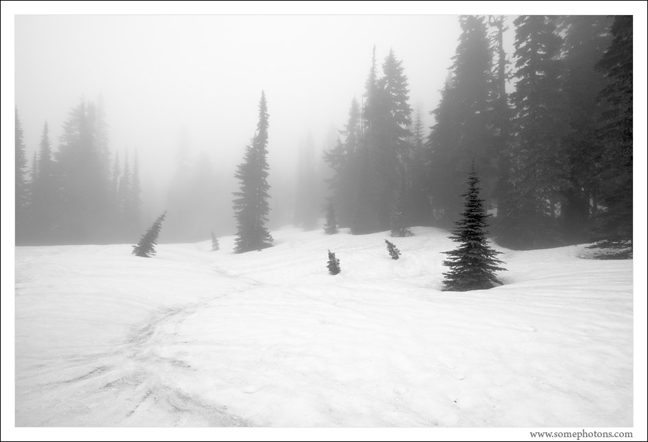 Mt Rainier National Park, Washington