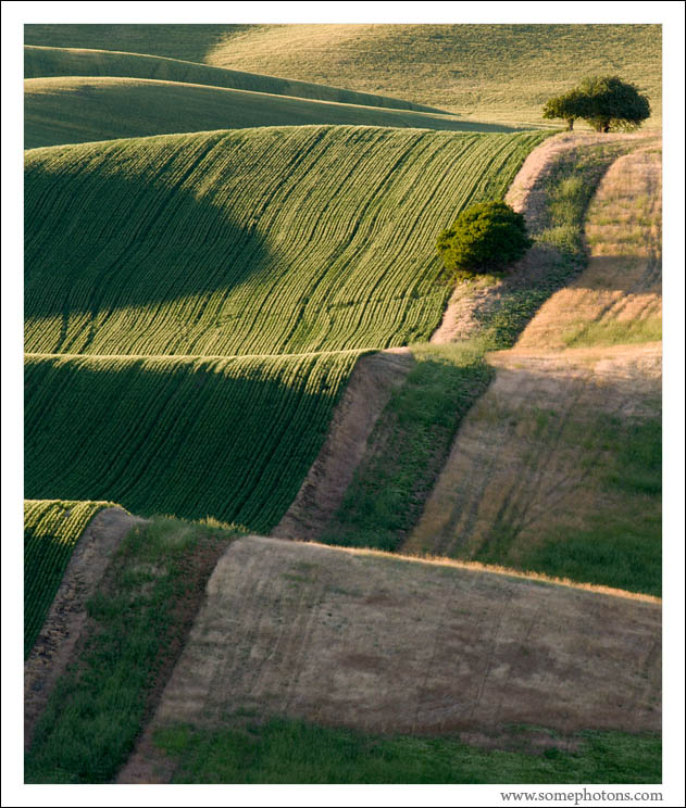 The Palouse, Washington