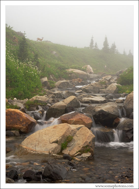 Mt Rainier National Park, Washington