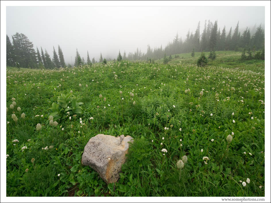 Mt Rainier National Park, Washington