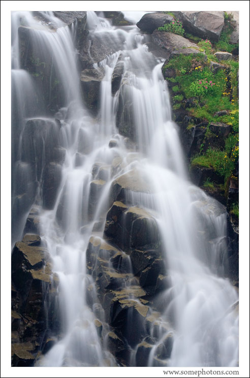 Mt Rainier National Park, Washington