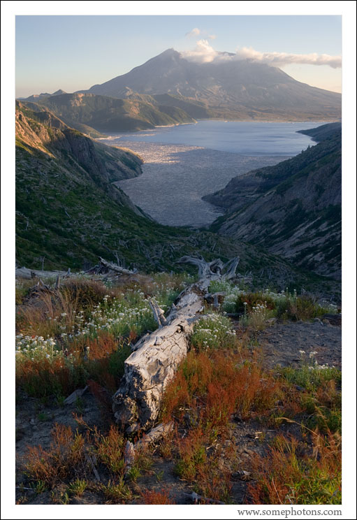 Mt St Helens, Washington