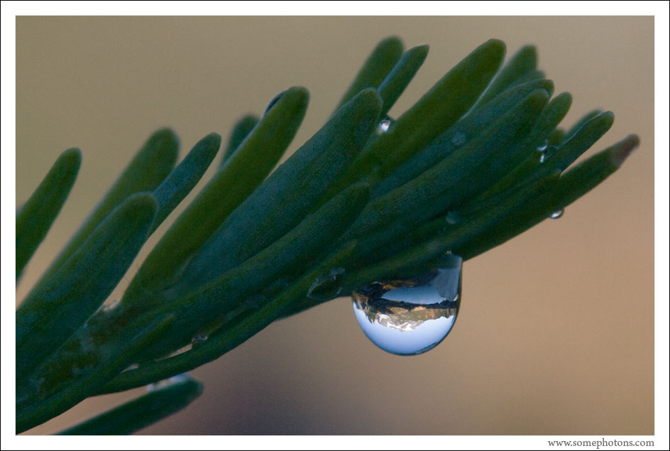 Mt Shuksan in a Droplet, Washington