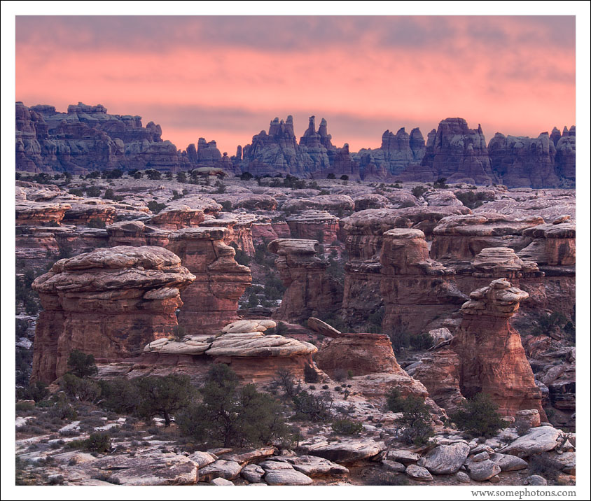 Canyonlands National Park, Utah.  The strangest landscape I've ever been in.