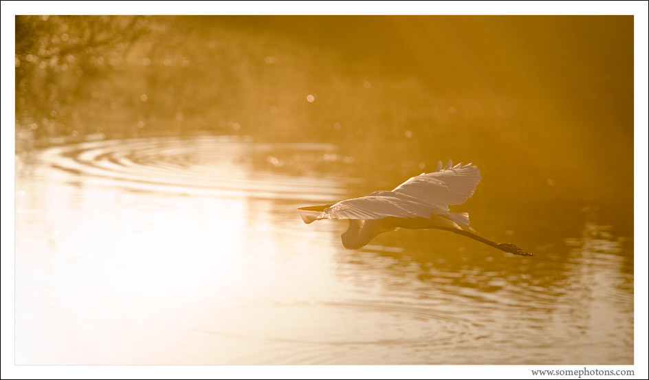 Everglades National Park, Florida
