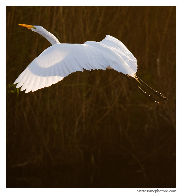 Everglades National Park, Florida
