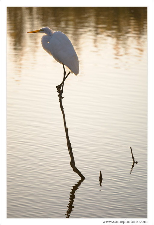 Everglades National Park, Florida