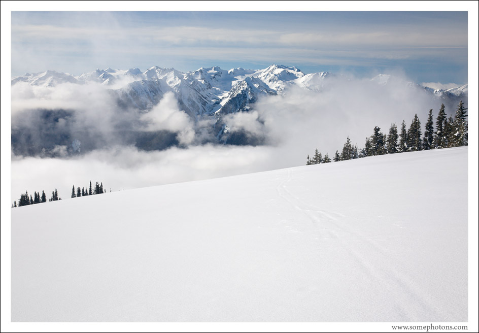 Faded tracks, Olympic National Park, Washington