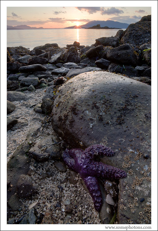 Low Tide, Puget Sound, Washington