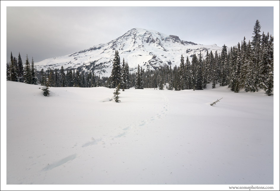 Mt Rainier National Park, Washington