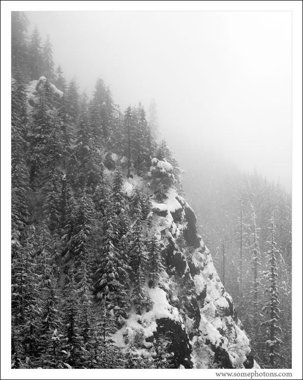 Rattlesnake Mountain, Washington
