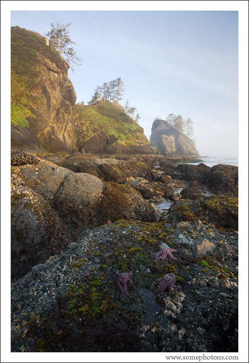 Olympic National Park, Washington