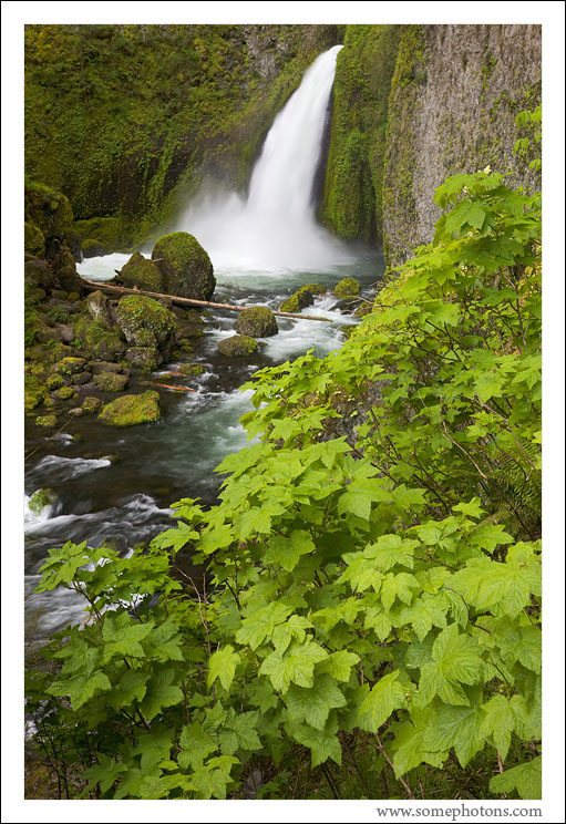 Columbia River Gorge, Oregon