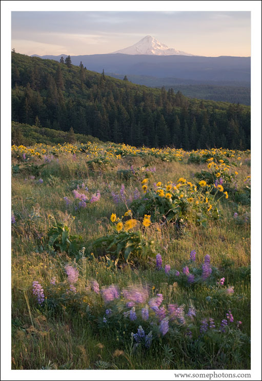 Mt Hood and the windy Rowena Plateau, Oregon