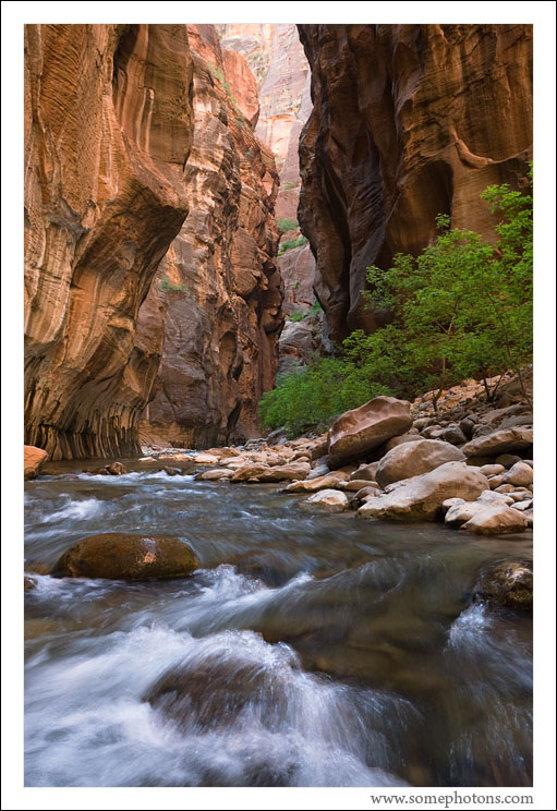 The Narrows, Zion National Park, Utah