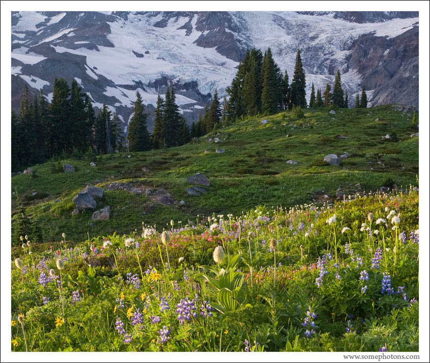 Mt Rainier Layers