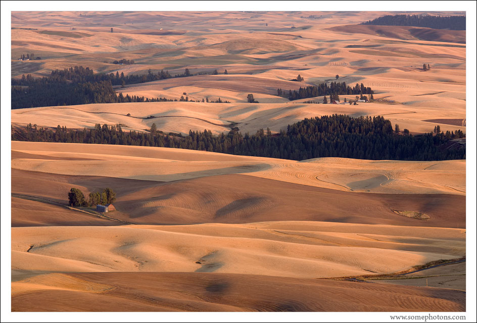 Harvest time in The Palouse, Washington