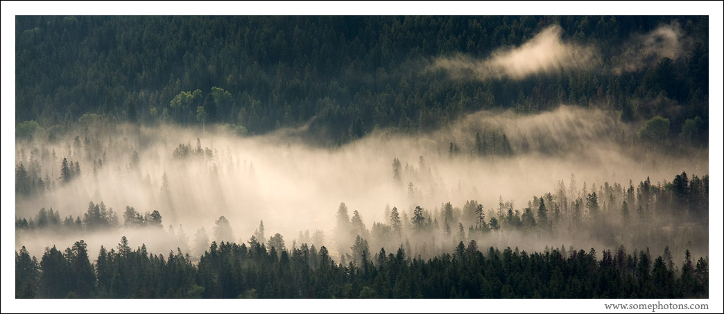 Morning Fog, Grand Teton National Park, Wyoming