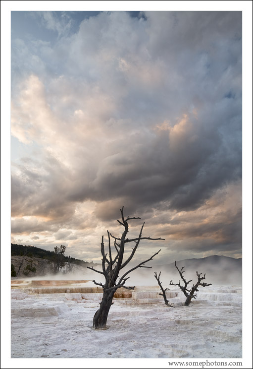 Mammoth Hot Springs, Yellowstone National Park
