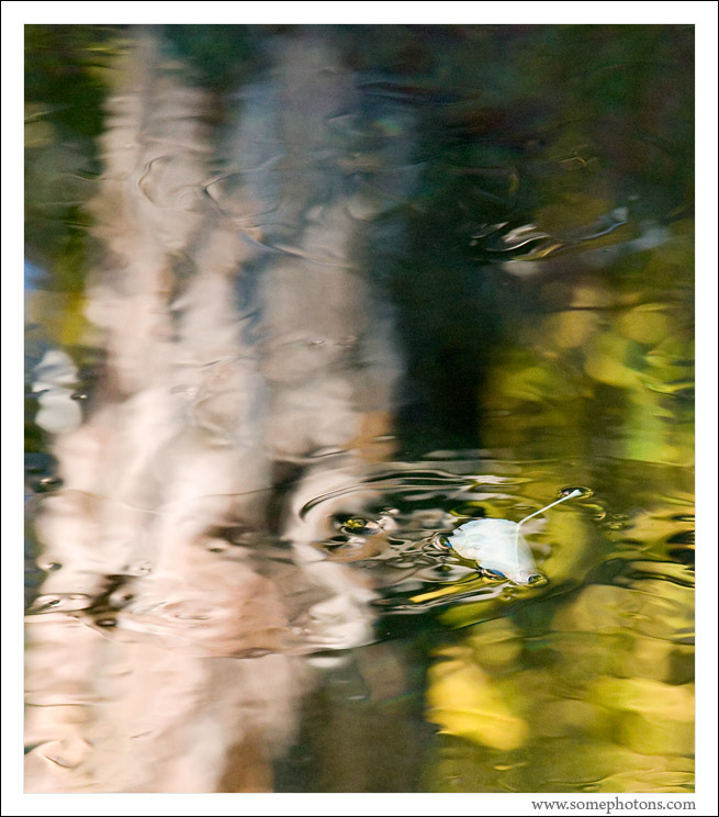 Fall, Nason Creek, Washington