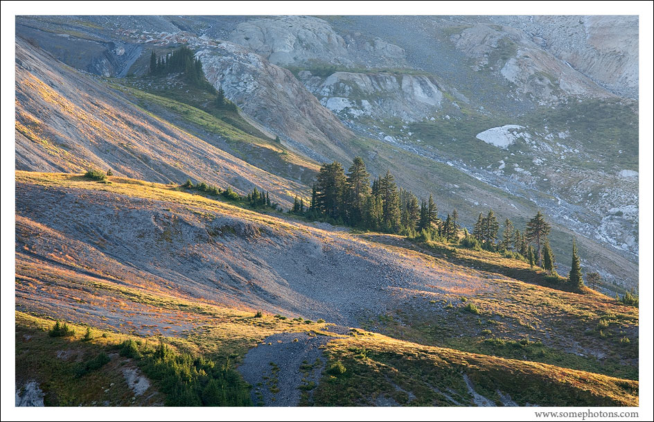 Almost Fall, Slopes Near Mt Baker, Washington