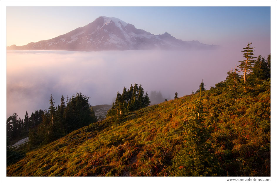 Mt Rainier