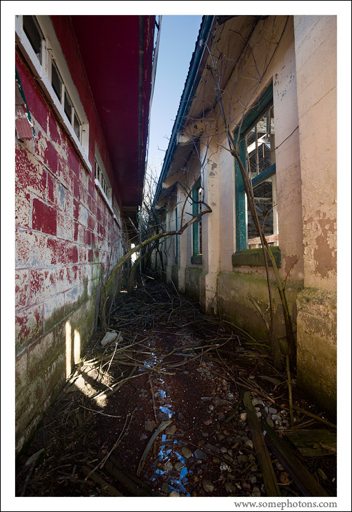 Alley