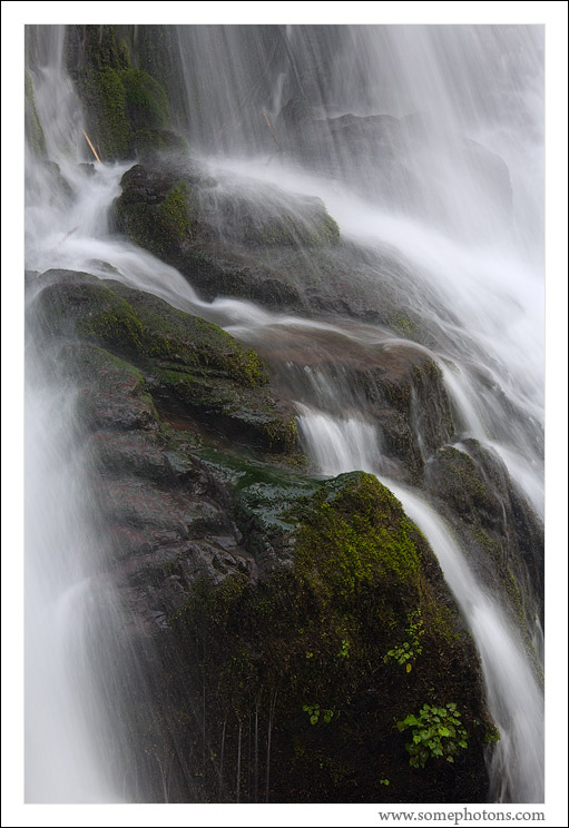 Cascade Falls, Quinault, Washington