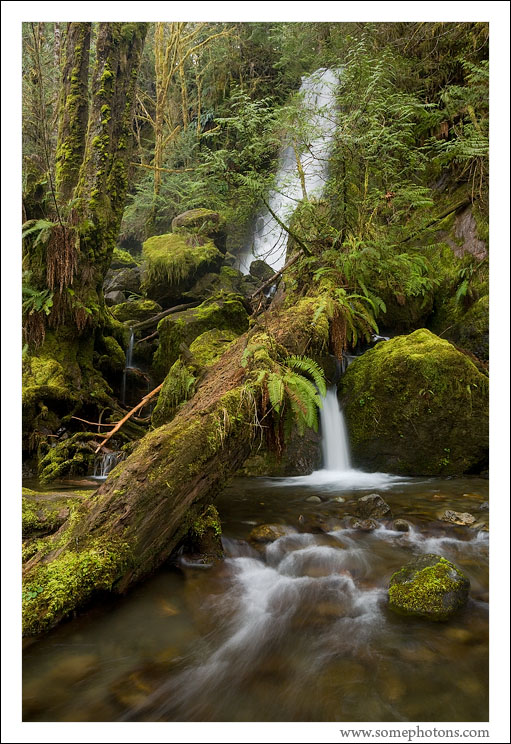 Merriman Falls, Quinault, Washington