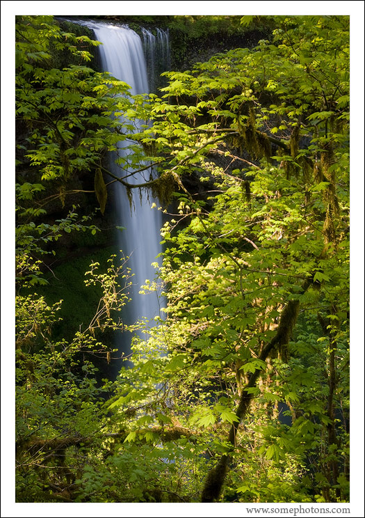 Silver Falls, Oregon