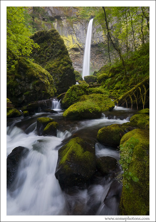 Elowah Falls, Columbia River Gorge, Oregon