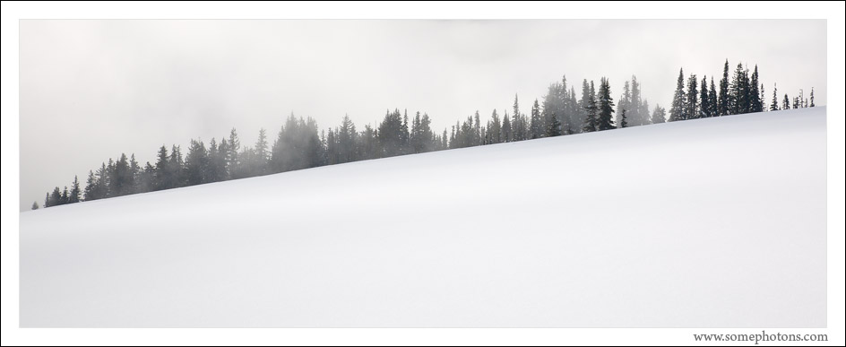 Hurricane Ridge, Olympic National Park, Washington