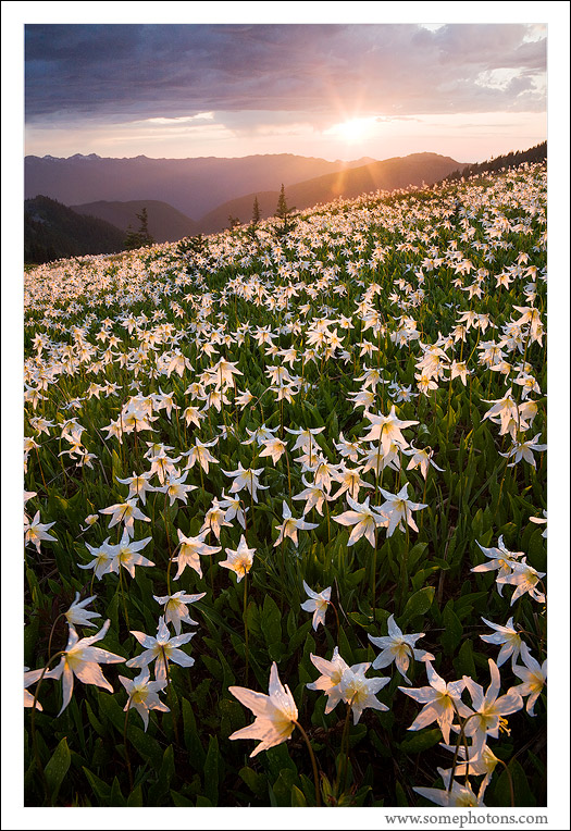 Olympic National Park, Washington