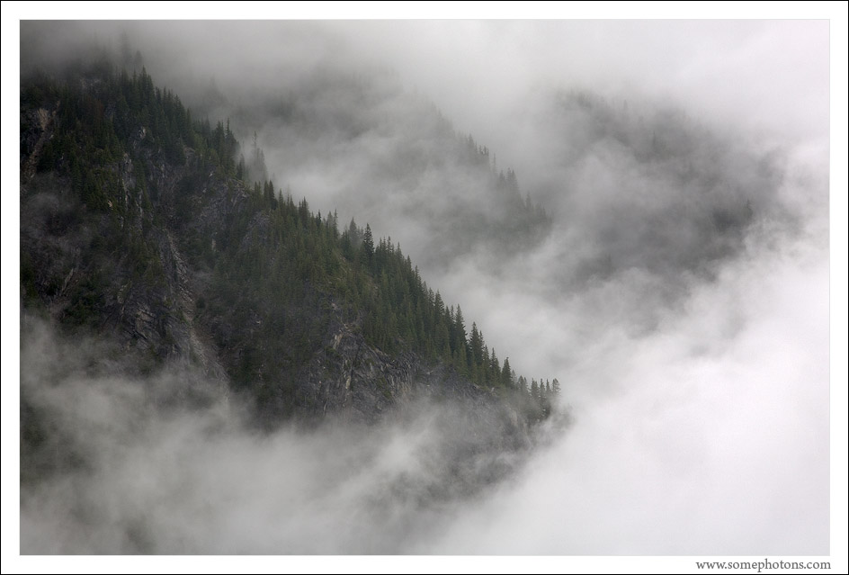 Stevens Canyon, Mt Rainier National Park, Washington