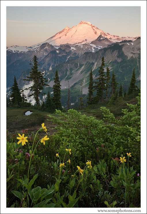 Sunrise, Mt Baker, Washington
