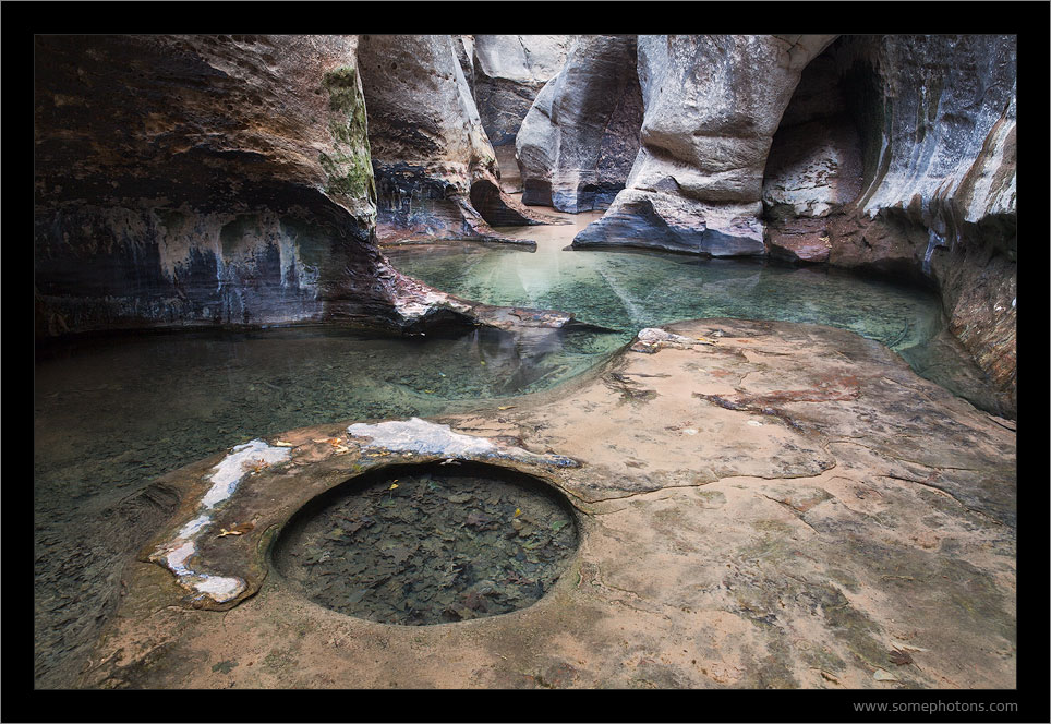 Left Fork of North Creek, Zion National Park