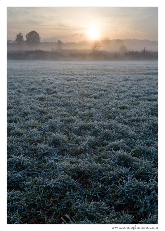 Fog and frost, Redmond, Washington