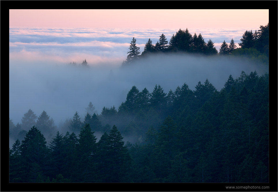 Mt Tamalpais, California