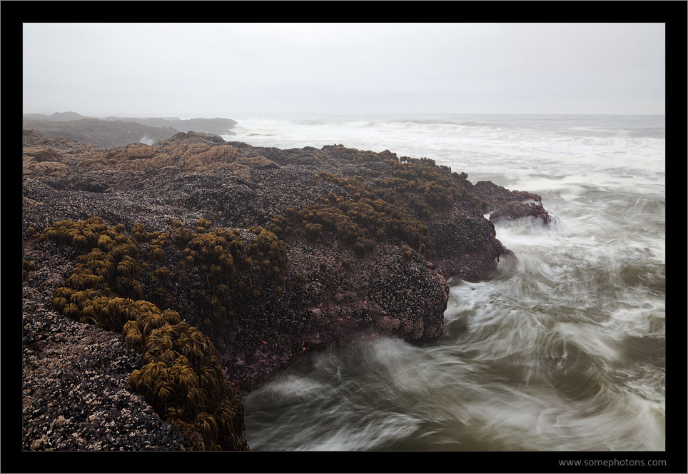 Cape Perpetua, Oregon